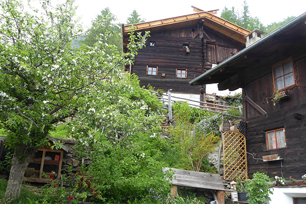 Montferthof