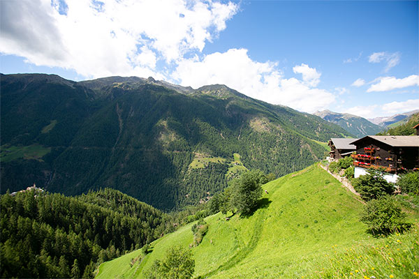 Maso biologico Montferthof