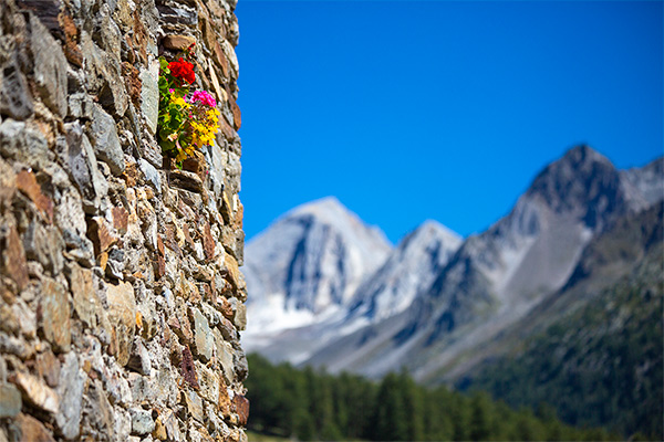 Meraner Höhenweg