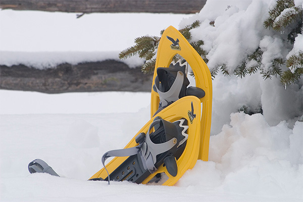 Racchette da neve