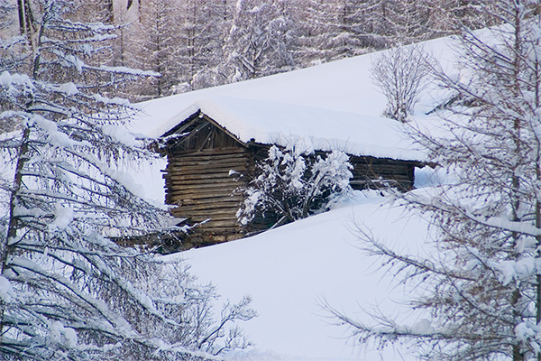 Winterwald