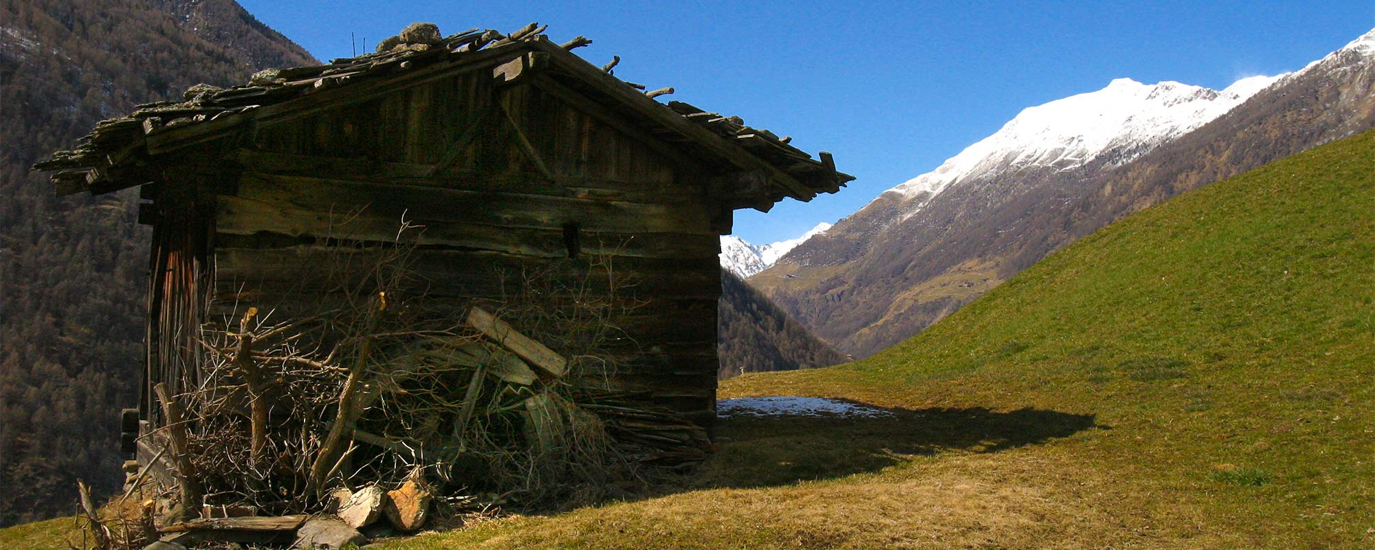 Zimmer und Preise Montferthof